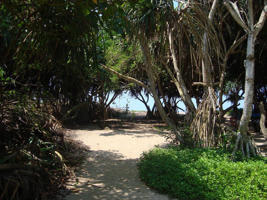 White Villa Bentota Room photo