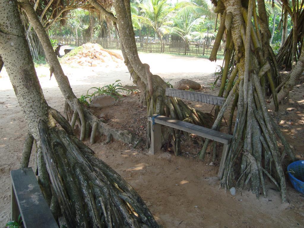 White Villa Bentota Room photo