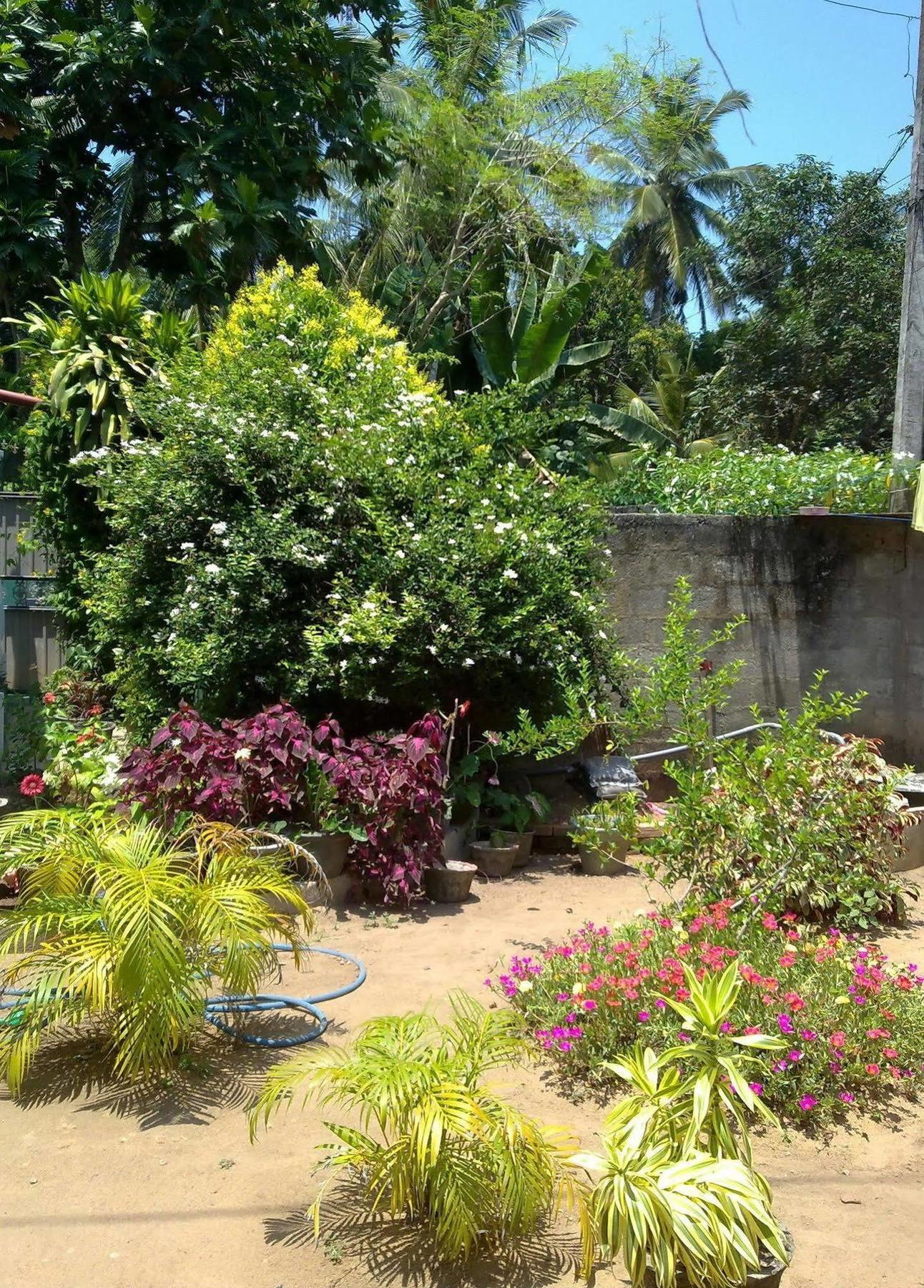 White Villa Bentota Exterior photo